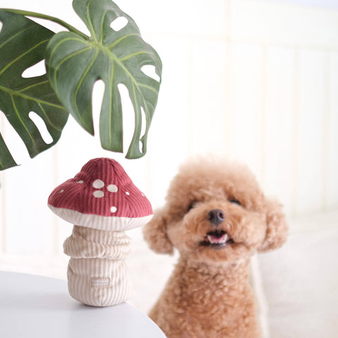 small puppy with Shroom, Enrichment Dog Toy, Squeaky + Snuffle Toy