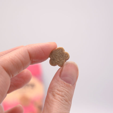Hand holding a small, flower-shaped Soopa treat against a plain background.
