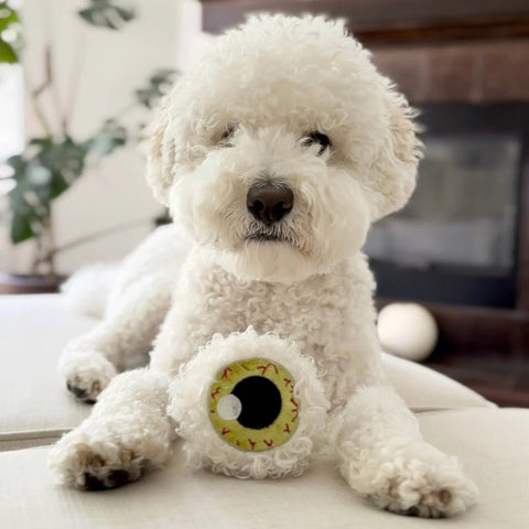 Spooky Eye With Squeaker, Limited edition Halloween Dog Toy - Sparkly Tails