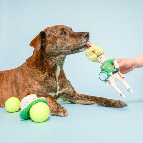 Tennis Hooman Nosework Toy - Sparkly Tails