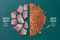 Comparison of fresh meat and meat meal on a teal background