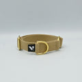 Beige dog collar with gold hardware on a light gray background