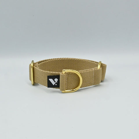Beige dog collar with gold hardware on a light gray background