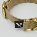 Beige dog collar with gold buckle and brand tag on a light gray background