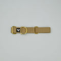 Beige dog collar with gold hardware on a light light background