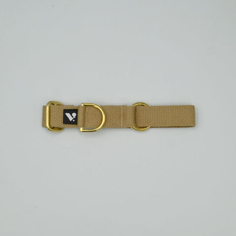 Beige dog collar with gold hardware on a light light background