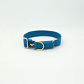 Blue dog collar with gold hardware on a white background