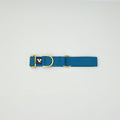 Blue cotton collar with gold hardware on a light background