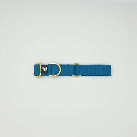 Blue cotton collar with gold hardware on a light background