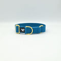 Blue cotton collar with gold hardware on a light background