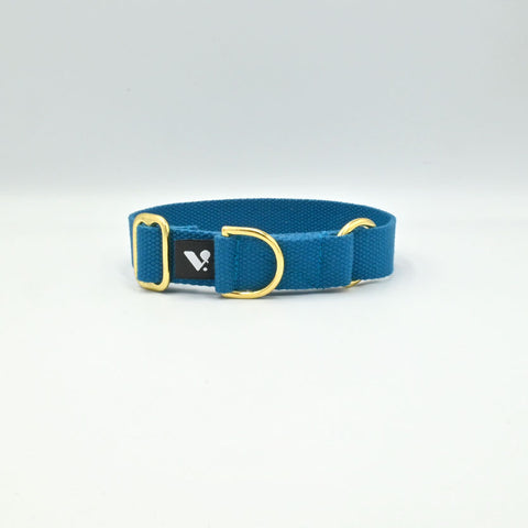 Blue cotton collar with gold hardware on a light background