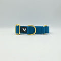 Blue cotton collar with gold hardware on a light background