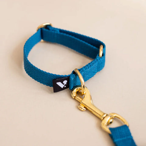 Cotton Slip-on Dog Collar, Vackertass, Azure Blue