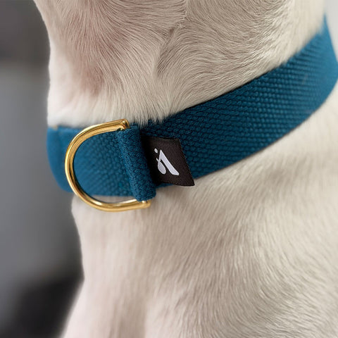 Cotton Slip-on Dog Collar, Vackertass, Azure Blue