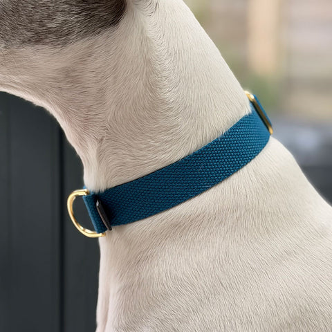 Cotton Slip-on Dog Collar, Vackertass, Azure Blue