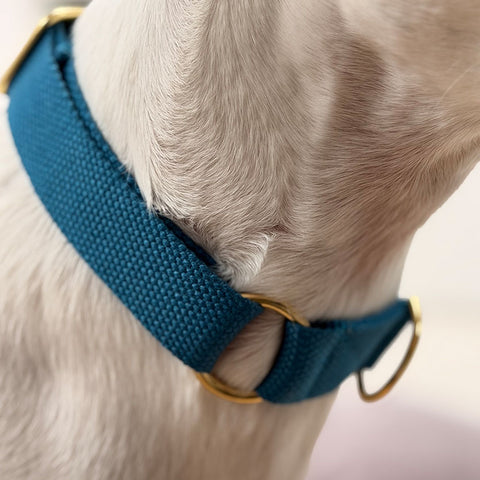 Cotton Slip-on Dog Collar, Vackertass, Azure Blue