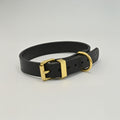 Black leather collar with gold hardware on a light background