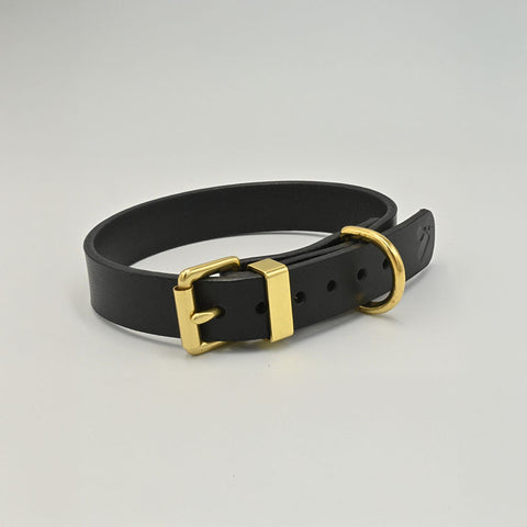 Black leather collar with gold hardware on a light background