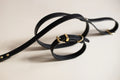 Black leather dog lead and collar set with gold clasp on a light beige background