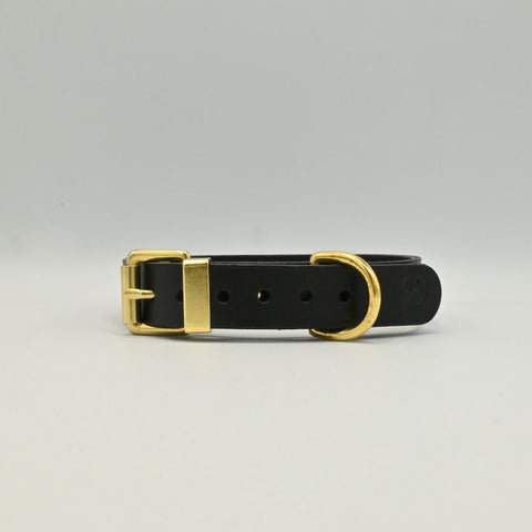 Black leather collar with gold hardware on a light background