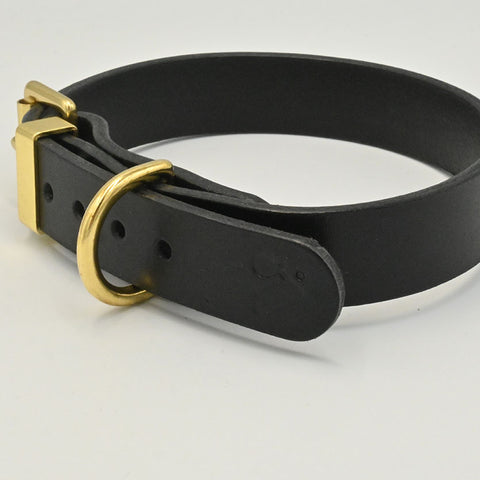 Black leather dog collar with a gold buckle on a white background