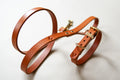 Brown leather dog set on a light background