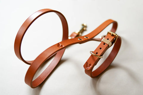 Brown leather dog set on a light background