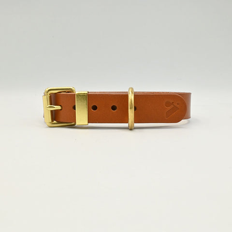Brown leather dog collar with gold buckle on a light background
