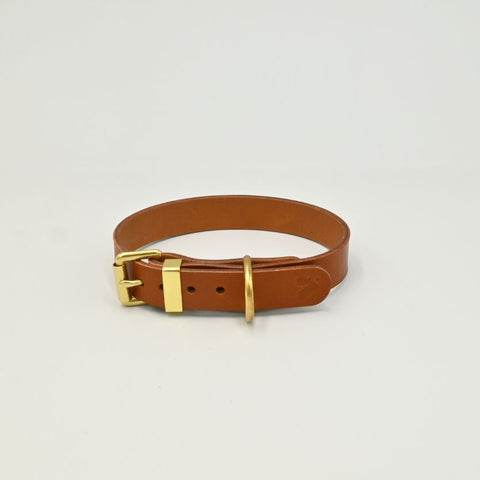 Brown leather belt with a gold buckle on a light background