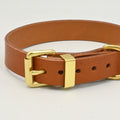 Brown leather dog collar with gold buckle on a light background