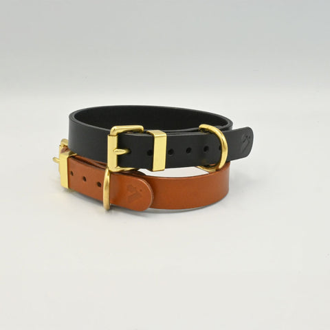Two leather dog collars, one black and one brown, with gold buckles on a light gray background.