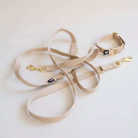 Dog leash and collar set with gold hardware on a light background