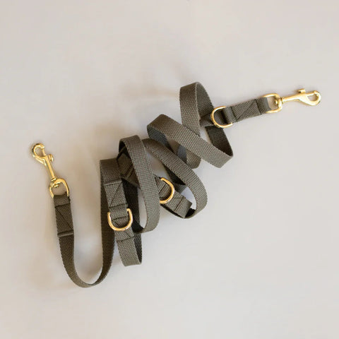 Green dog leash with gold hardware on a light gray background