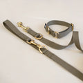 Dog collar and leash set on a light background