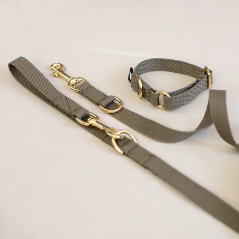 Dog collar and leash set on a light background