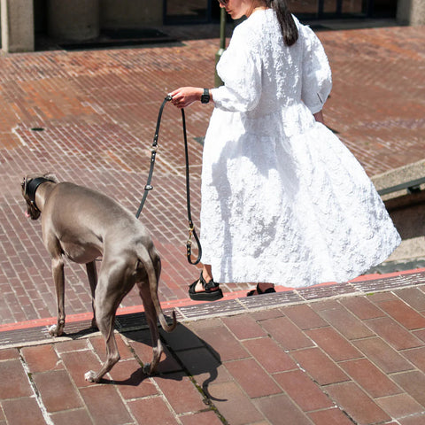 Woman in a white dress walking a dog on a leash in an urban setting