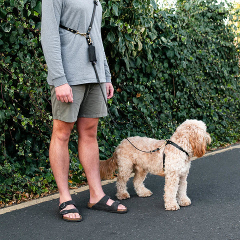 Person standing with a dog on a leash next to a hedge