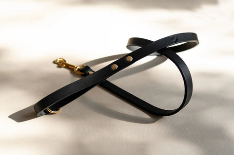 Black leather dog lead with gold clasp on a light background
