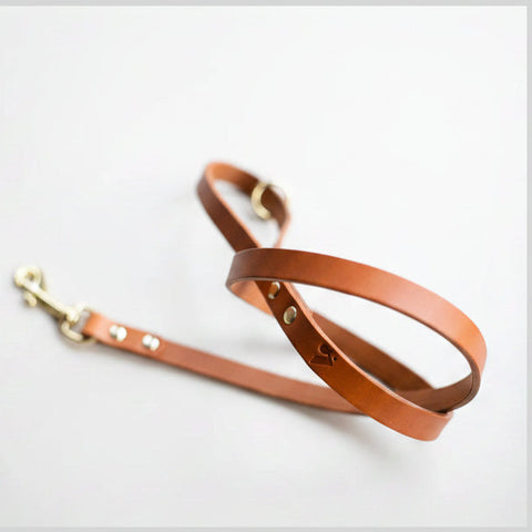 Brown leather dog leash on a light gray background