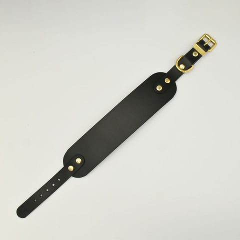 Black leather dog collar with gold hardware on a light background