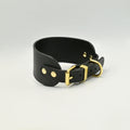 Black leather collar with gold hardware on a light background