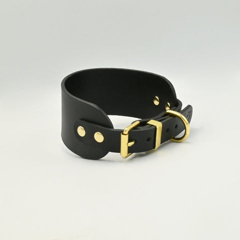 Black leather collar with gold hardware on a light background