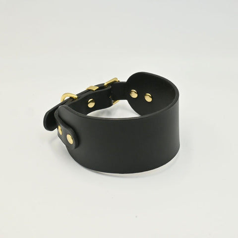 Black leather collar with gold hardware on a white background