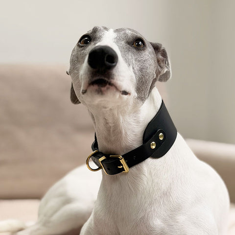 Handcrafted Hound Leather Dog Collar, Vackertass, Black