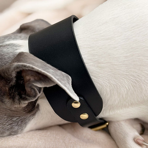 Handcrafted Hound Leather Dog Collar, Vackertass, Black