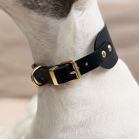 Handcrafted Hound Leather Dog Collar, Vackertass, Black