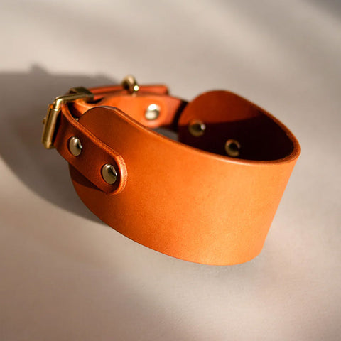Brown leather collar with gold hardware on a neutral background