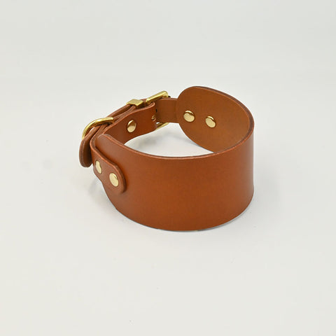 Brown leather collar with gold hardware on a light background