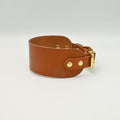 Brown leather collar with gold hardware on a light background