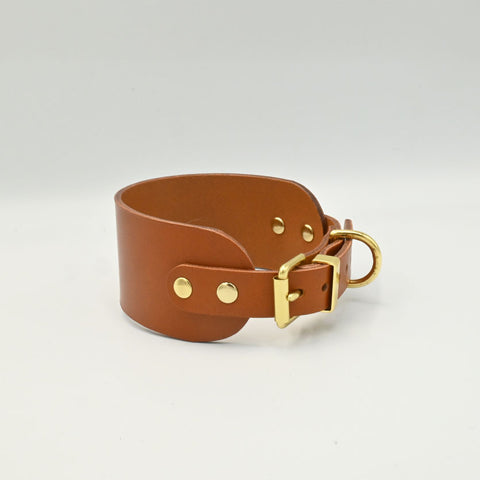 Brown leather collar with gold hardware on a light background
